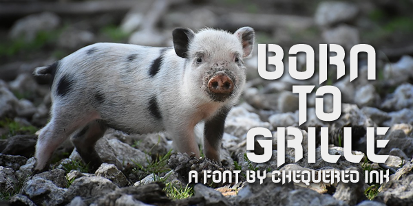 Born to Grille Font