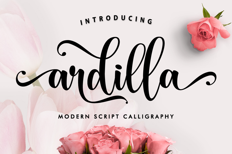 Ardilla Font