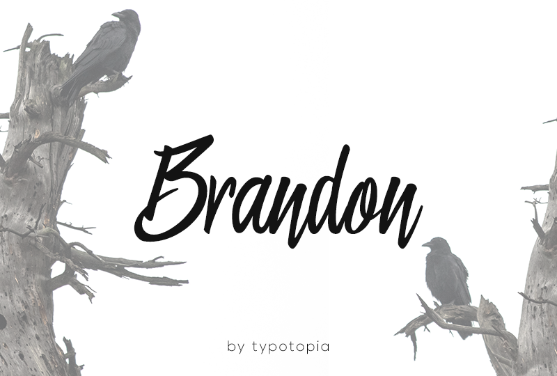 Brandon Font