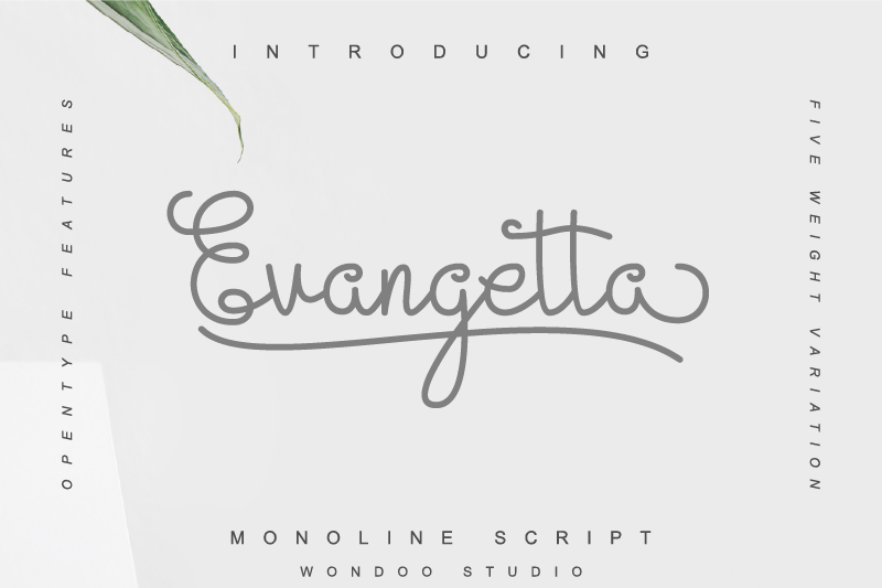 Evangetta Font