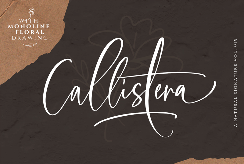 Callistera Script Font