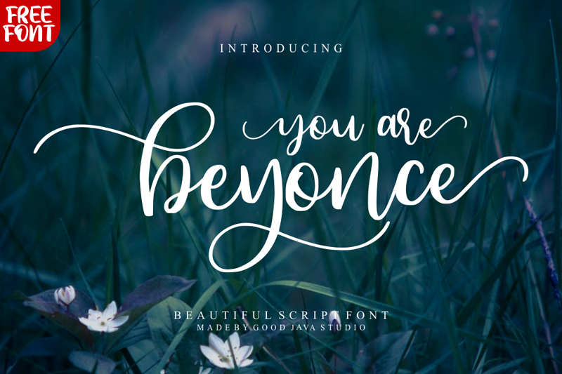 Beyonce Font