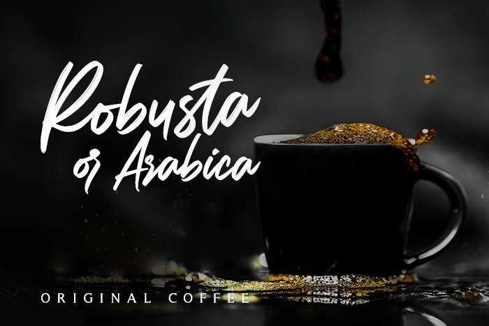 Carolissa Font