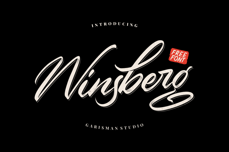 Winsberg Font