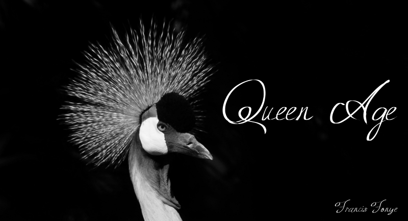 Queen Age Font