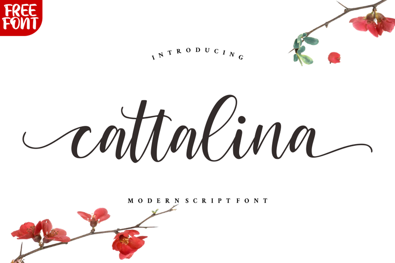 Cattalina Font