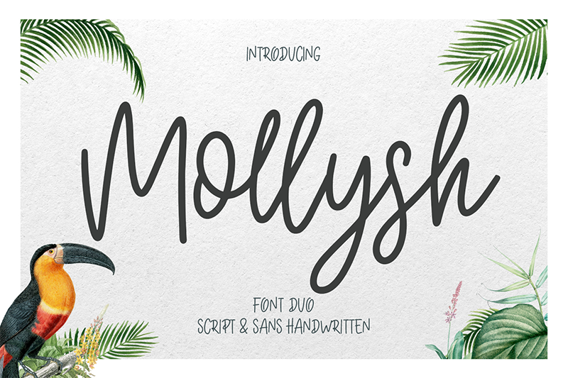 Mollysh Script Font