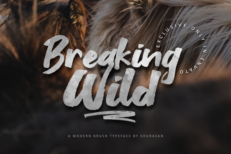 Breaking Wild Font