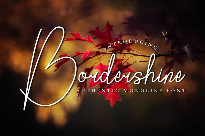 Bordershine Monoline Font