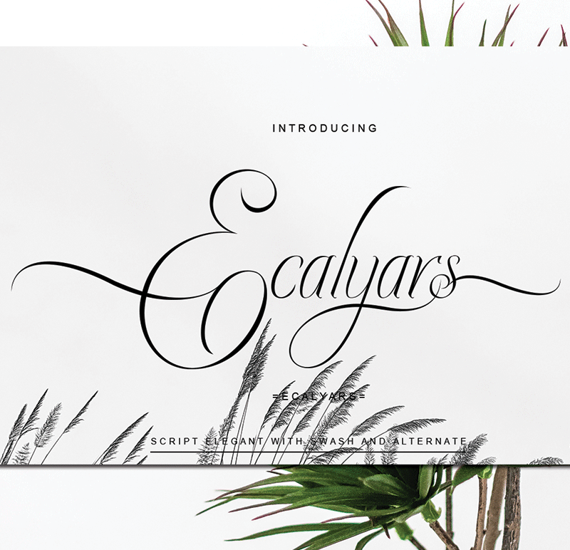 Ecalyars Font
