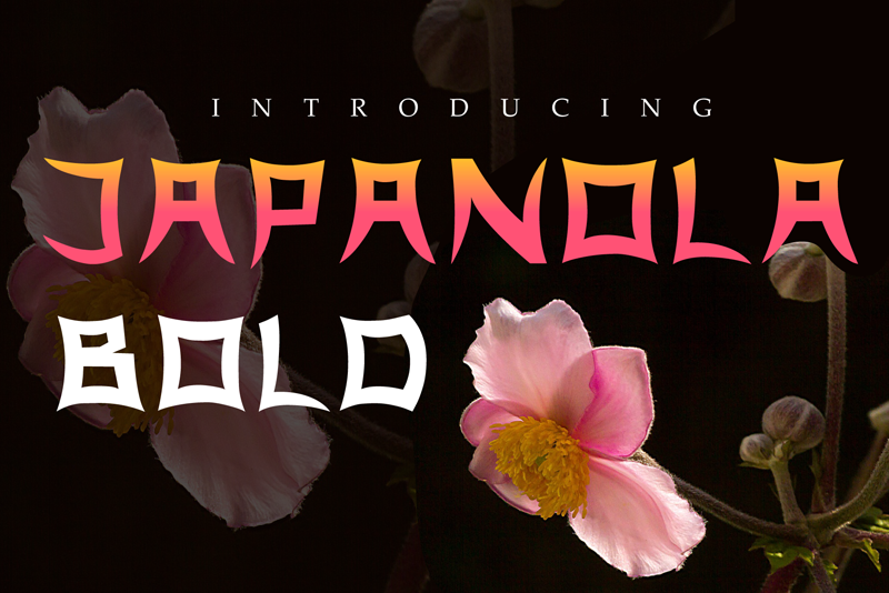 Japanola Font