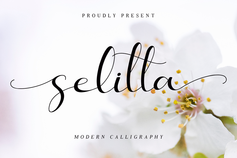 Selitta Font