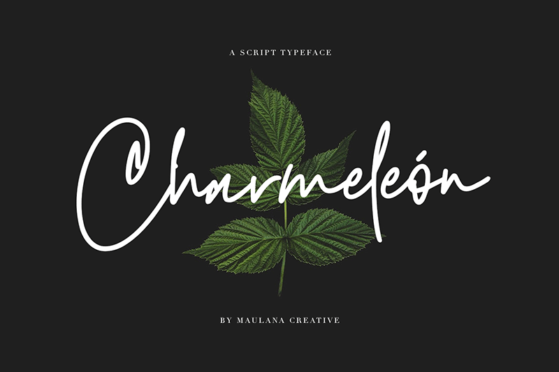 Charmeleon Font