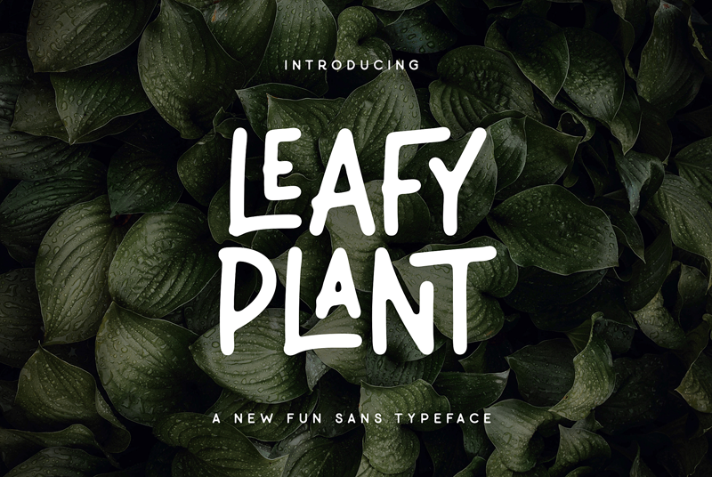 Leafy Plant Sans Font