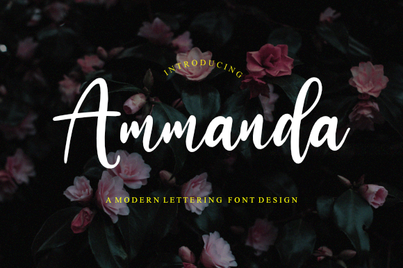 Ammanda Font
