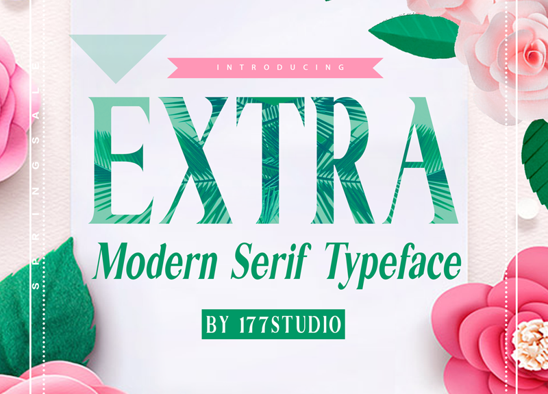 Extra Serif Font