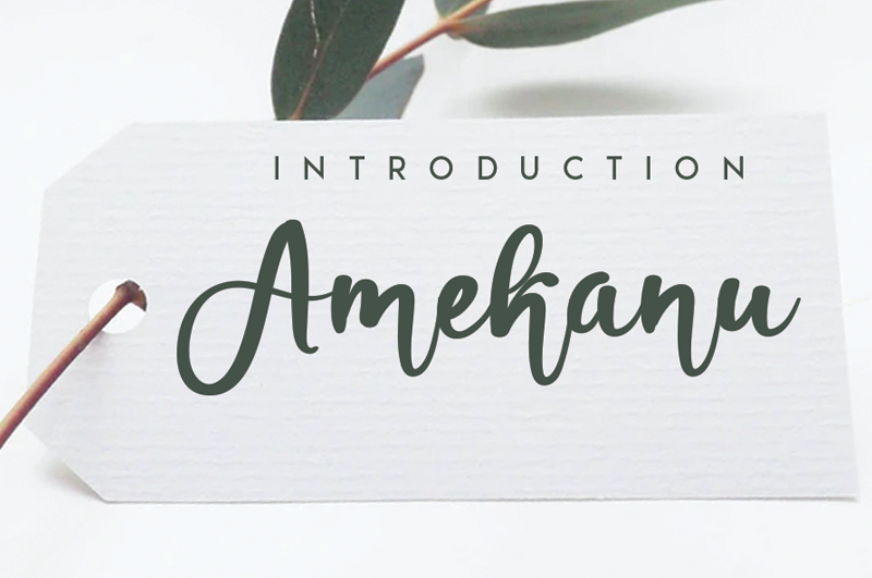 Amekanu Font
