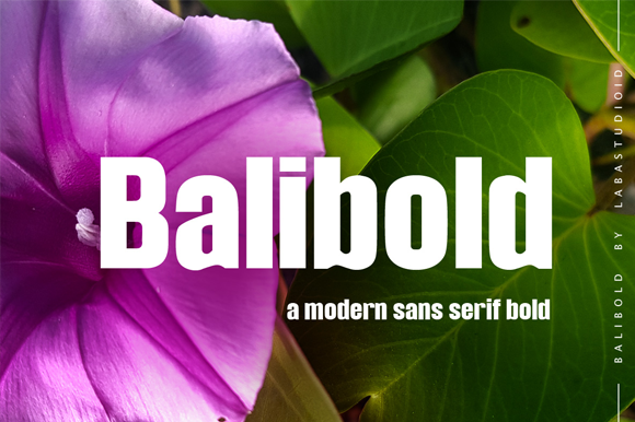 Balibold Font