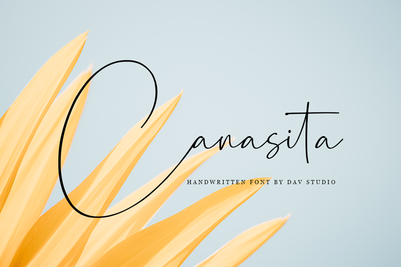 Canasita Font