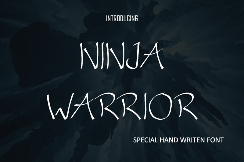 Ninja Warrior Font