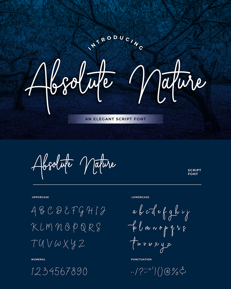 Absolute Nature Font