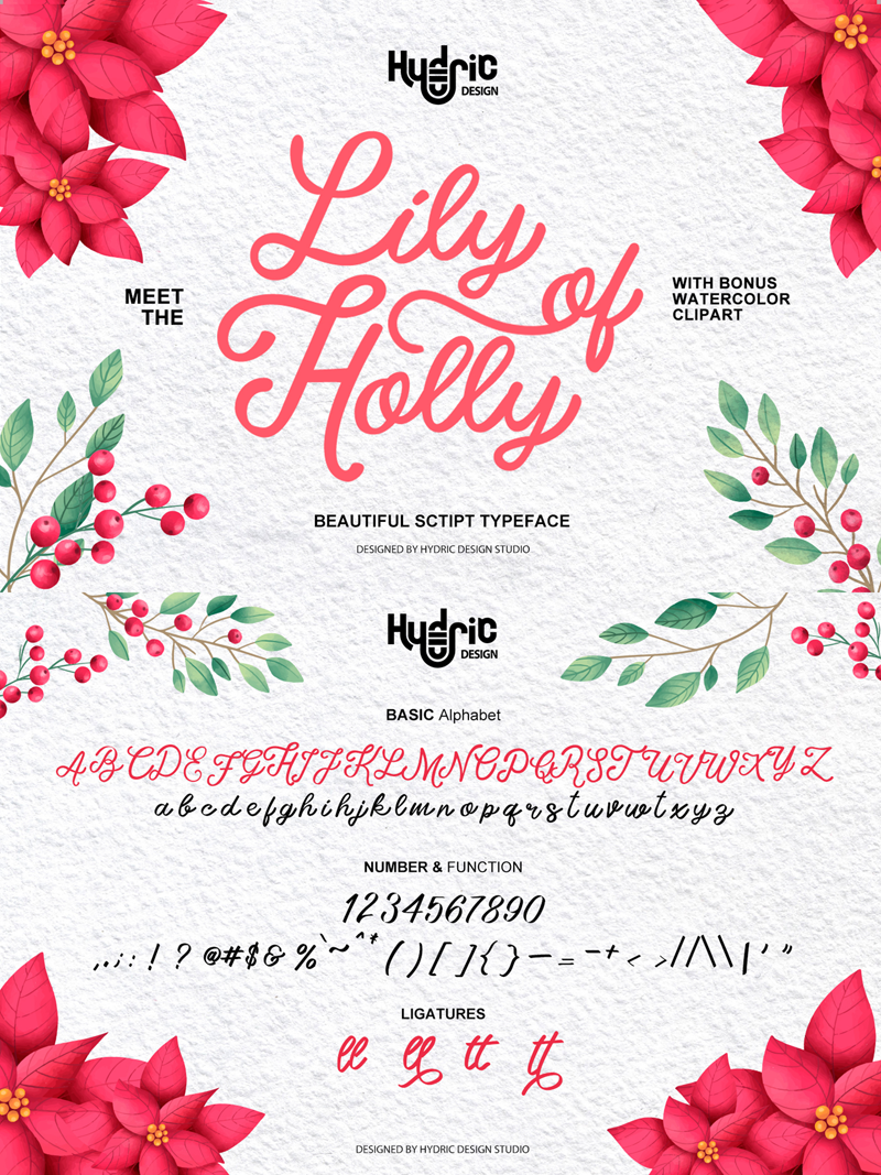 Lily Of Holly Font