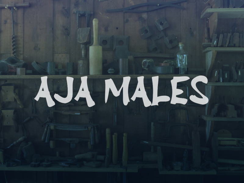 A Aja Males Font
