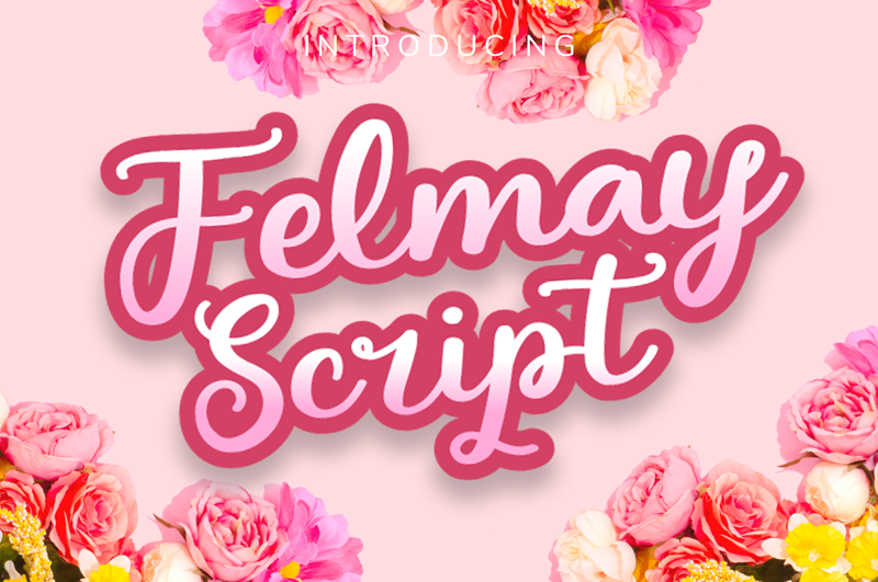 Felmay Script Font
