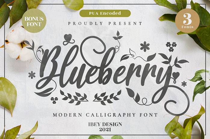 Blueberry Love Font