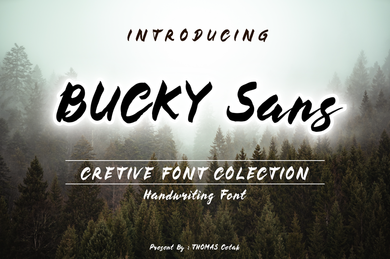 Bucky Sans Font