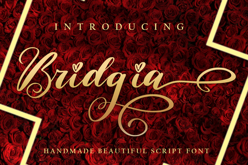 Bridgia Font