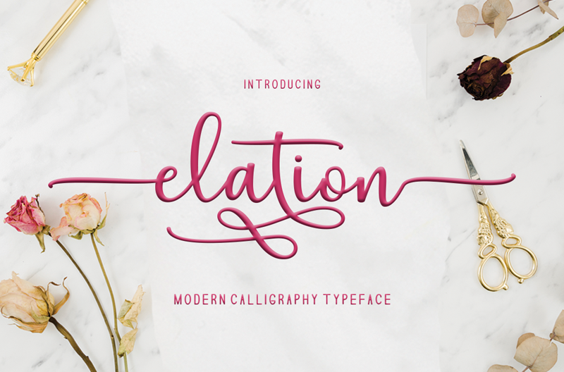 Elation Script Font