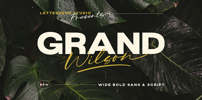 Grand Wilson Sans Font