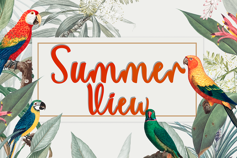 Summer View Font