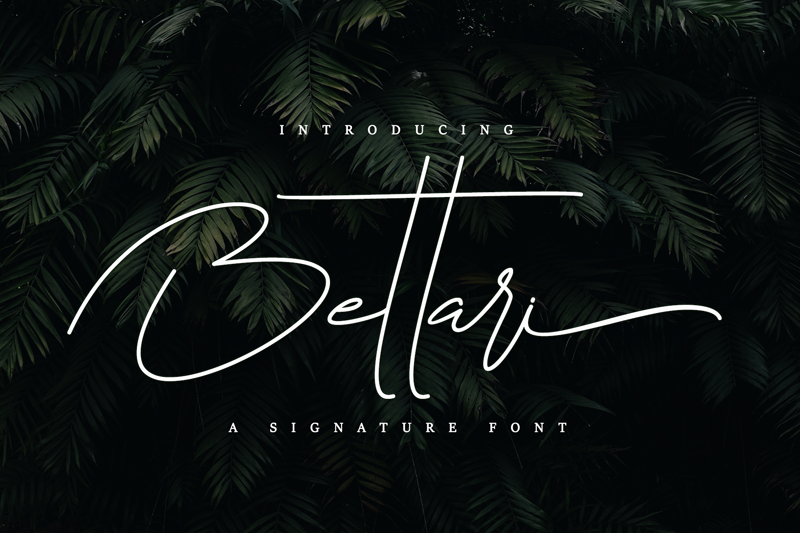 Bettari Font