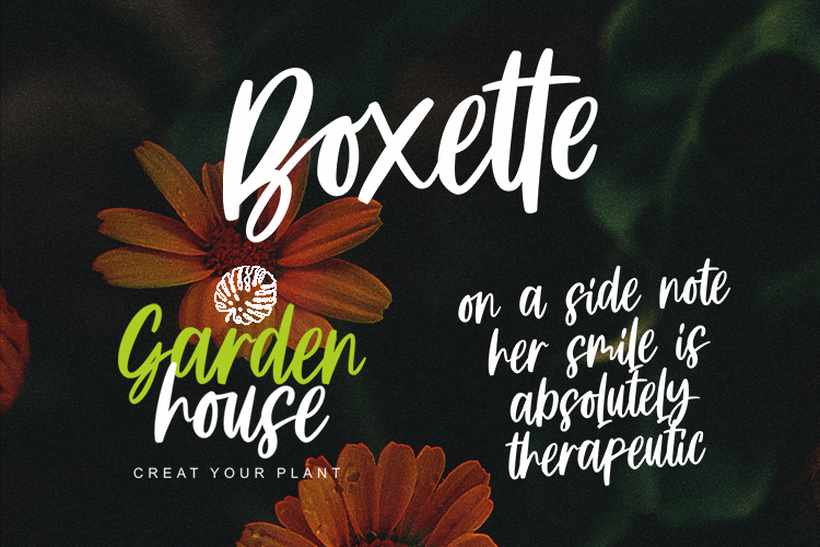 Boxette Font