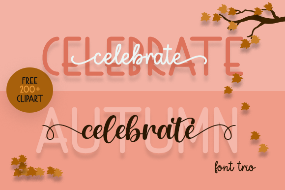 Celebrate Script Font