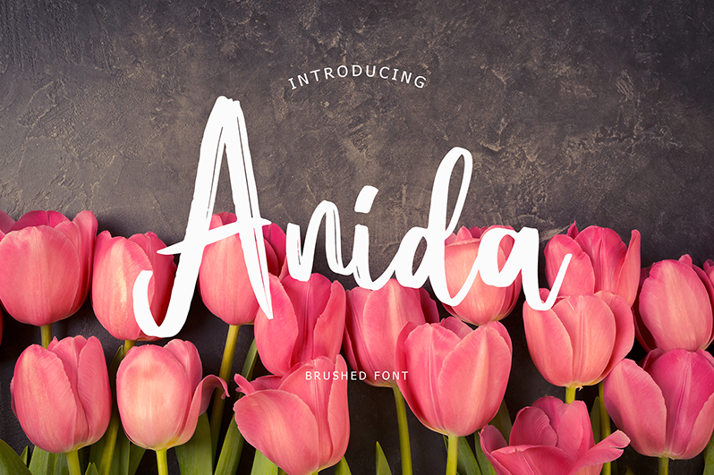 Anida Font