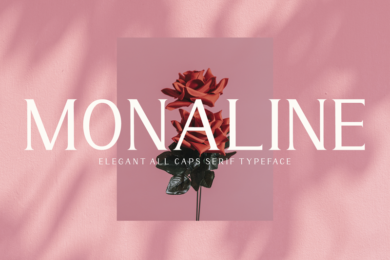 Monaline Font