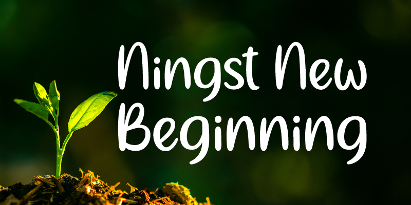Ningst New Beginning Font