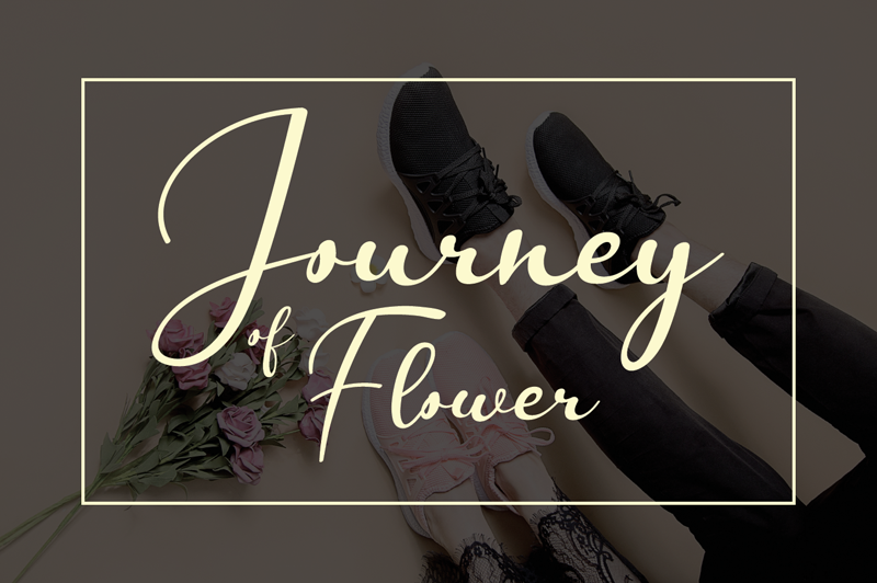Journey Of Flower Font