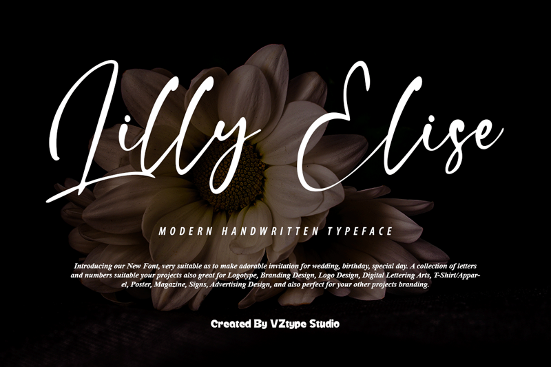 Lilly Elise Font