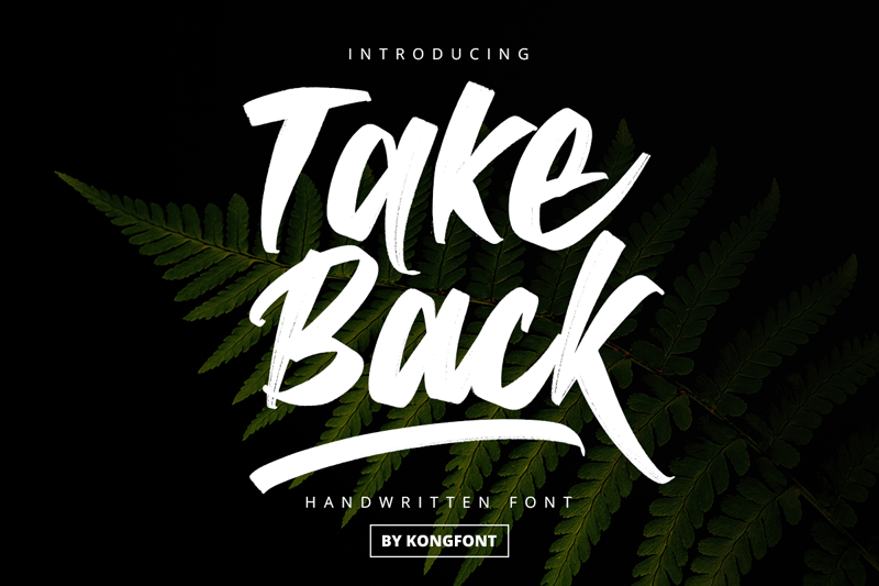 Take Back Font