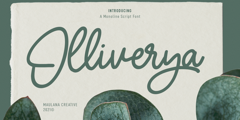 Olliverya Font