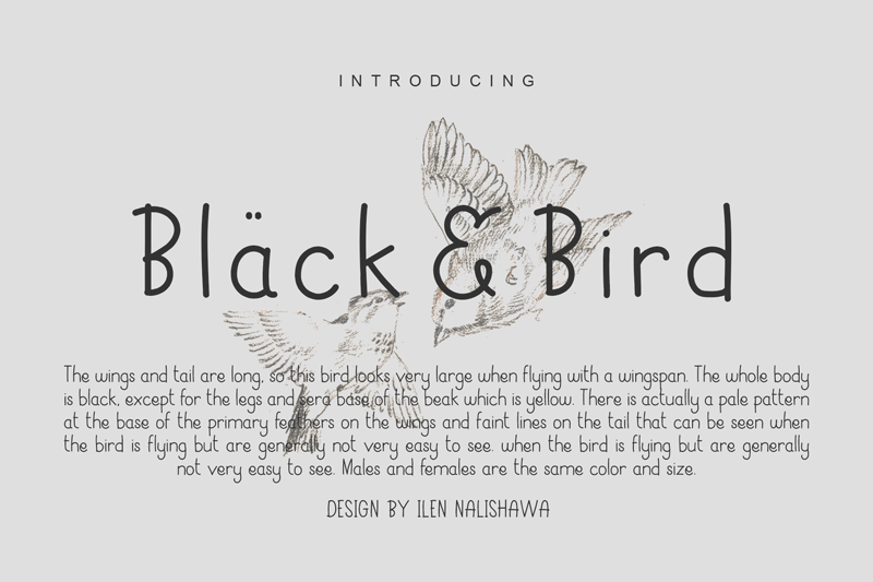 Black Bird Font