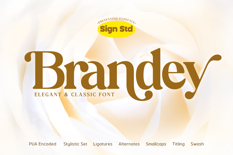 Brandey Font