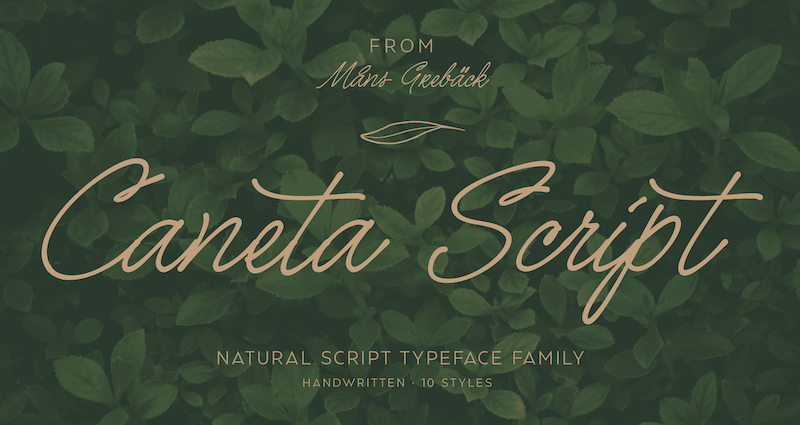 Caneta Script Font