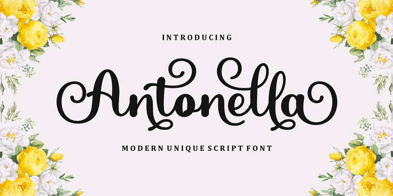 Antonella Font