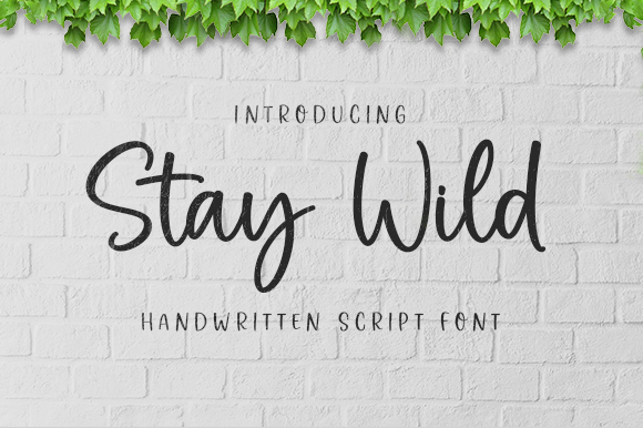 Stay Wild Font