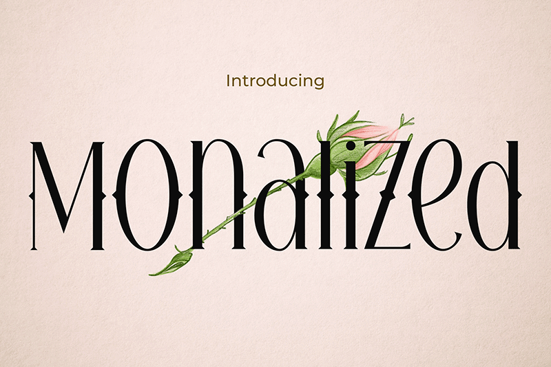 Monalized Font